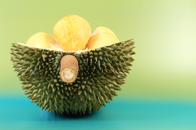 榴莲