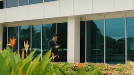 高清人物走过花带视频