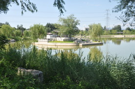 从岸边眺望水中的小岛