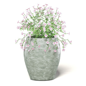 C4D模型 牵牛花