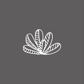 贝壳