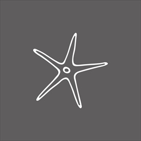 海星