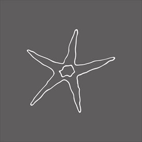 海星