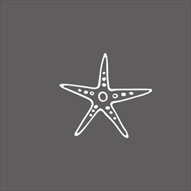 海星