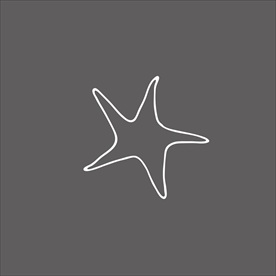 海星