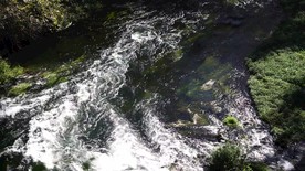 高清森林溪流视频