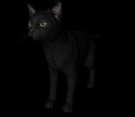 C4D模型 猫