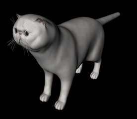 C4D模型 加菲猫