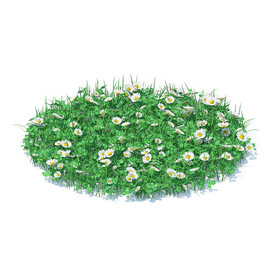 C4D模型 菊花地草地草坪