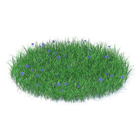 C4D模型 草地草坪
