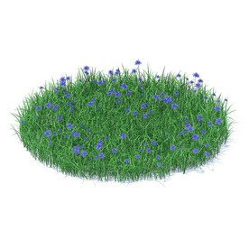 C4D模型 草地草坪