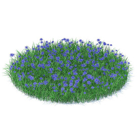 C4D模型 草地草坪