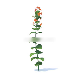 C4D模型 倒提壶花草