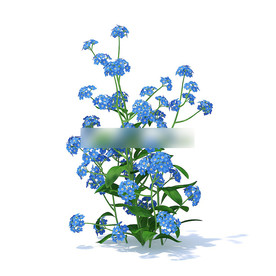 C4D模型 倒提壶花草