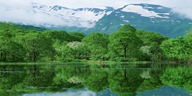 广角风景