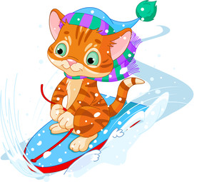 滑雪的猫