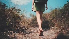 高清漫步行走在草丛中