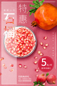 石榴海报
