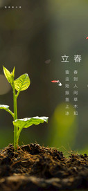 立春节气海报
