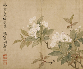 恽寿平国画 梨花