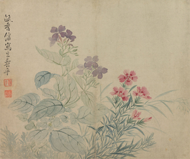 恽寿平国画 豆花石竹