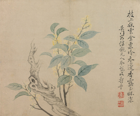 恽寿平国画 桂花