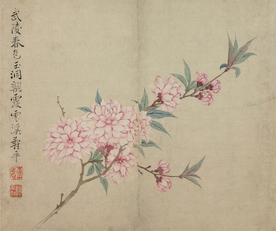 恽寿平国画 桃花