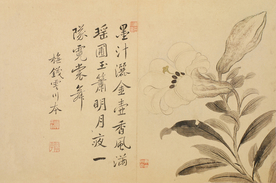 恽寿平国画 洒金玉兰