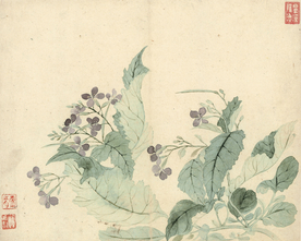 恽寿平国画 海棠花