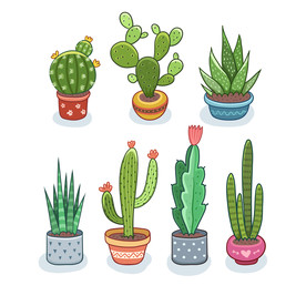卡通植物