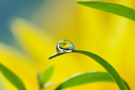 水珠