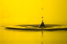 水波