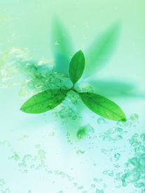 装饰画