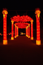 花灯