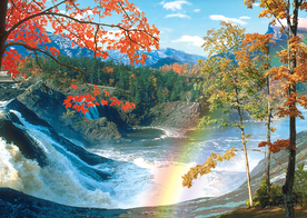 风景