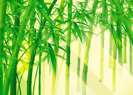 风景