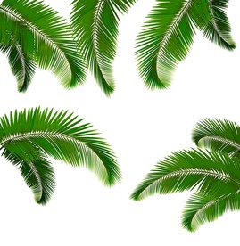 植物背景