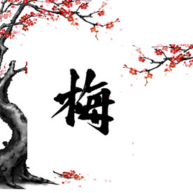 梅花素材