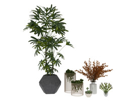 植物组3d模型
