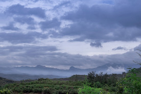 风景