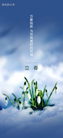 立春节气海报