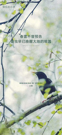 立春节气海报