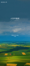 芒种海报