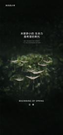 立春节气海报