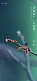 立春节气海报