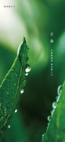 立春节气海报