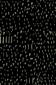 字母