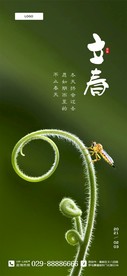 二十四节气海报 立春图片