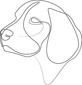 狗