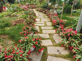 花园小路
